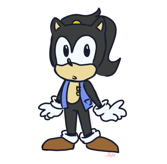 Ruby the hedgehog Bio Somnic10