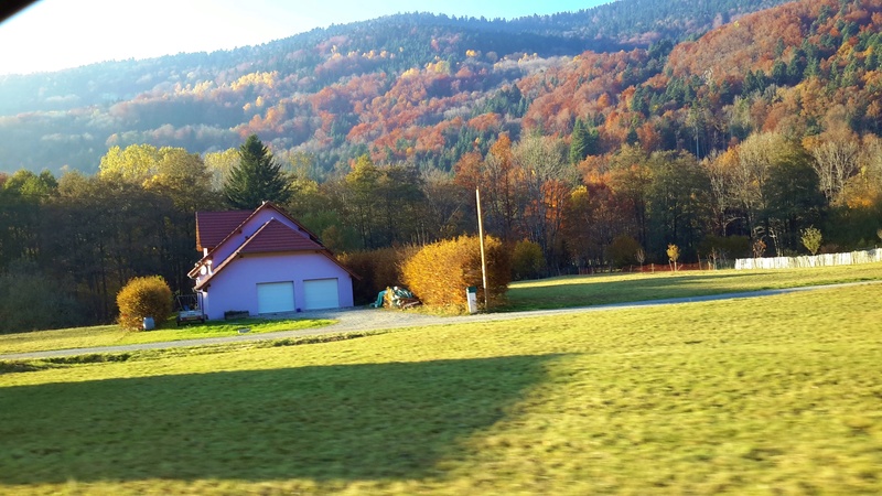 semaine du lundi 17 octobre au dimanche 23 octobre  - Page 2 20151010