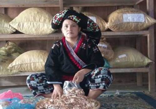 Chữa bệnh xương khớp từ 1 vị lương y huyện Mường Lát, Thanh Hóa Thay_t10