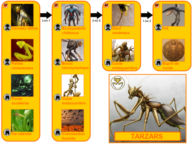 Présentation des 12 races jouables Tarzar11