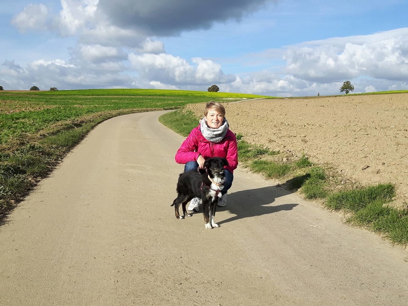 ZOLA (ex POUIC) - chiot femelle - née en mai 2016 - REMEMBER ME LAND - Adopté par Florence (Belgique) - Page 2 14963510