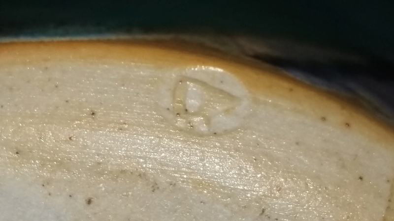 Dartington Pottery - Page 6 20161026