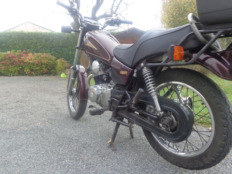 Petit nouveau Dsc09312