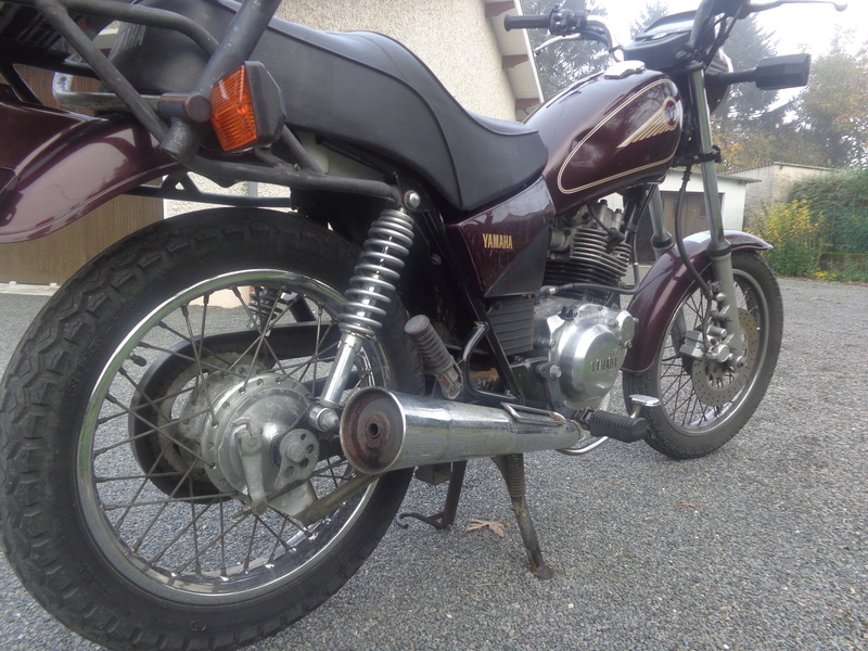 Petit nouveau Dsc09314