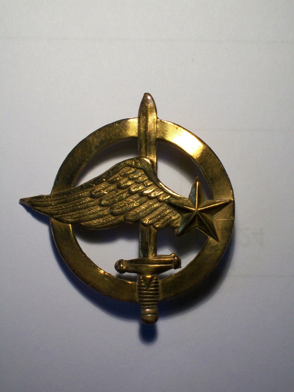 Insignes de  Béret des Fusilliers Commandos de l'Air  100_9719