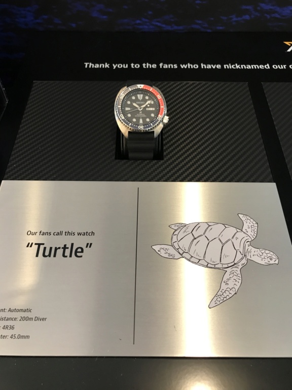 Que relógio vos "apetece"? - Página 7 Turtle10
