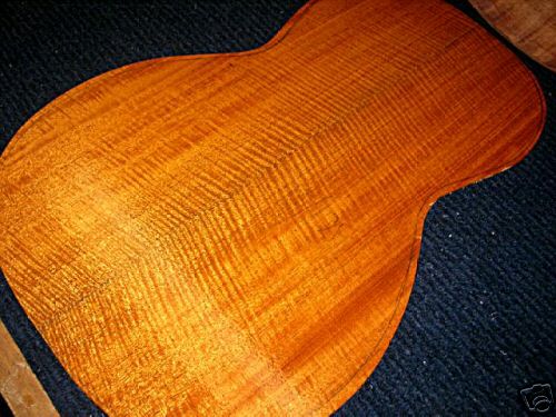 fiddleback mahogany 007f_110