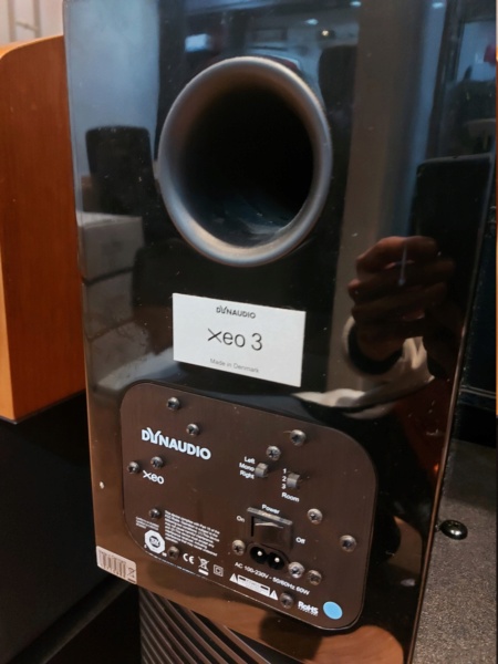 Dynaudio Xeo 3 Active Speaker SOLD 20211112