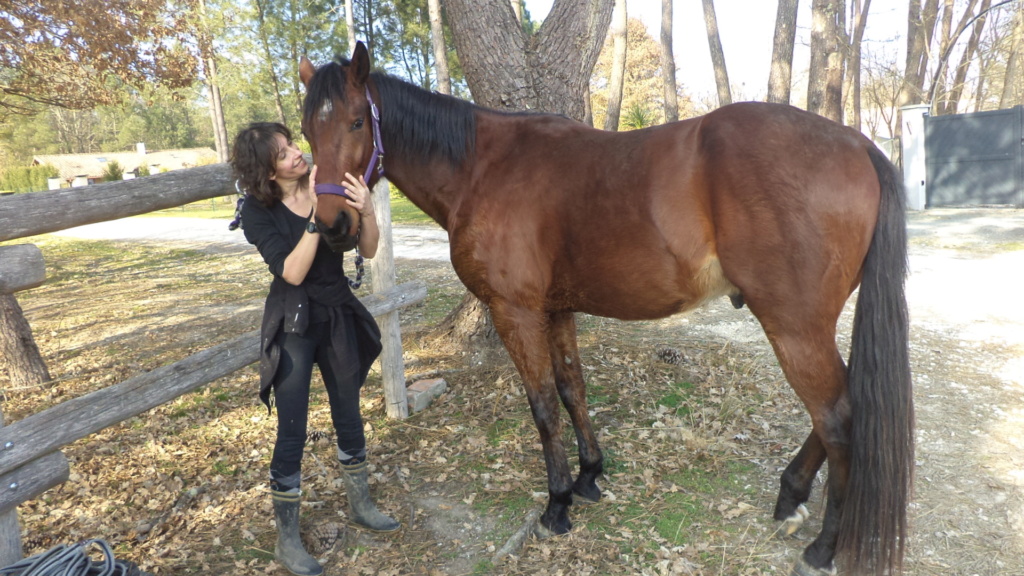 Django de Jelma, Eog et Irish de Cravans, hongres TF, adoptés par Axie et Sav (2017/8/20) - Page 9 Dsc07513