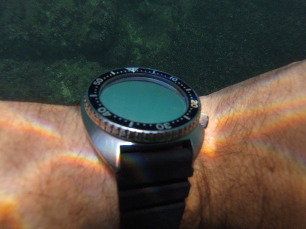 Seiko Diver's - Fotos - Página 3 Gopr0212