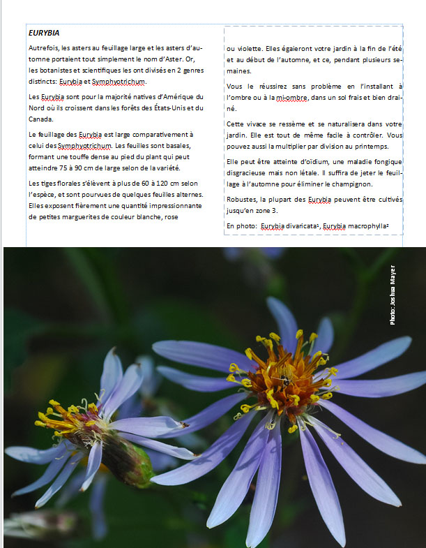 Plantes d'ombre - magazine - Page 17 Pageeu10