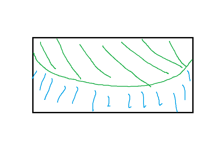 espèce paludarium Schema11