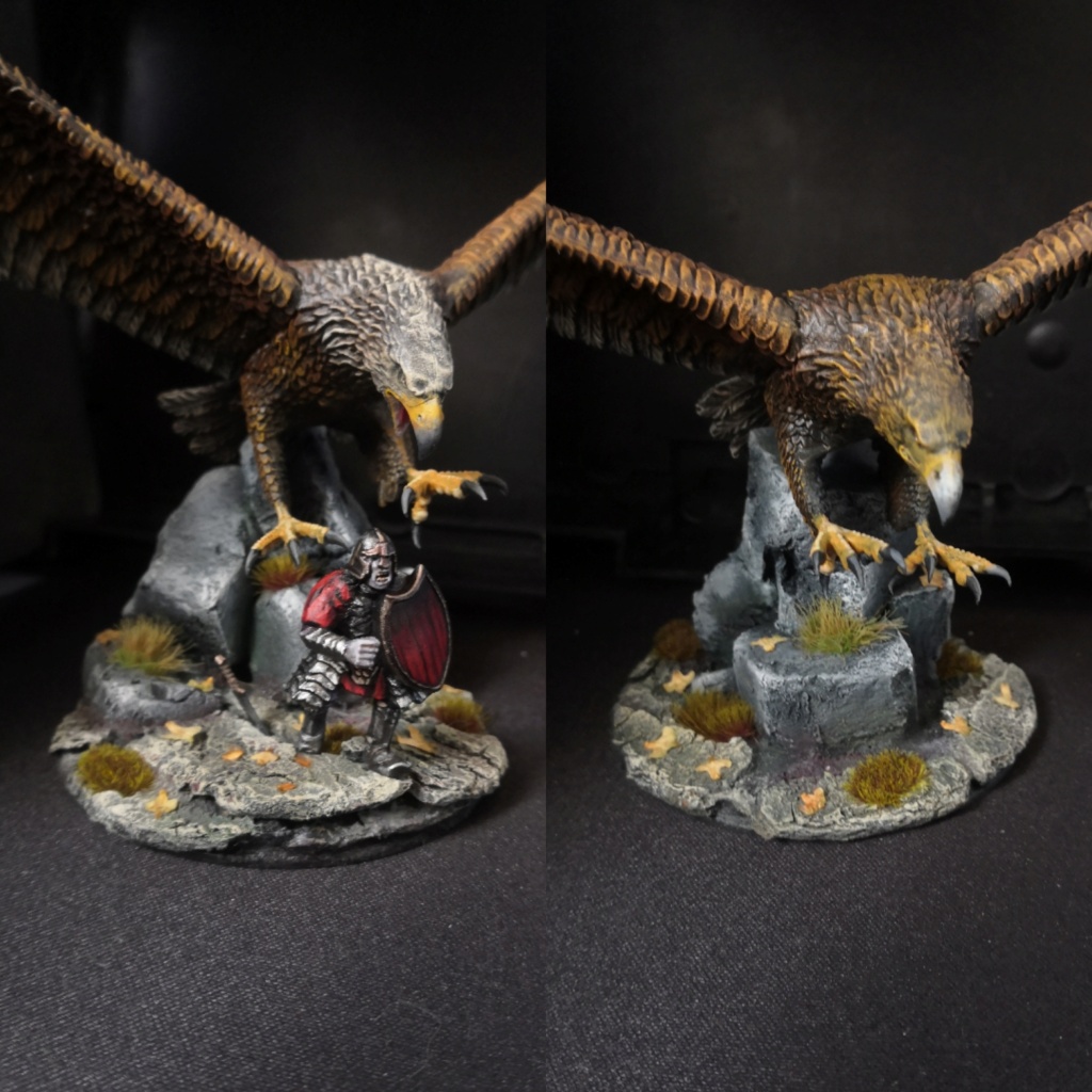 Gwaihir (fait maison) et un aigle des Monts Brumeux Img_2309