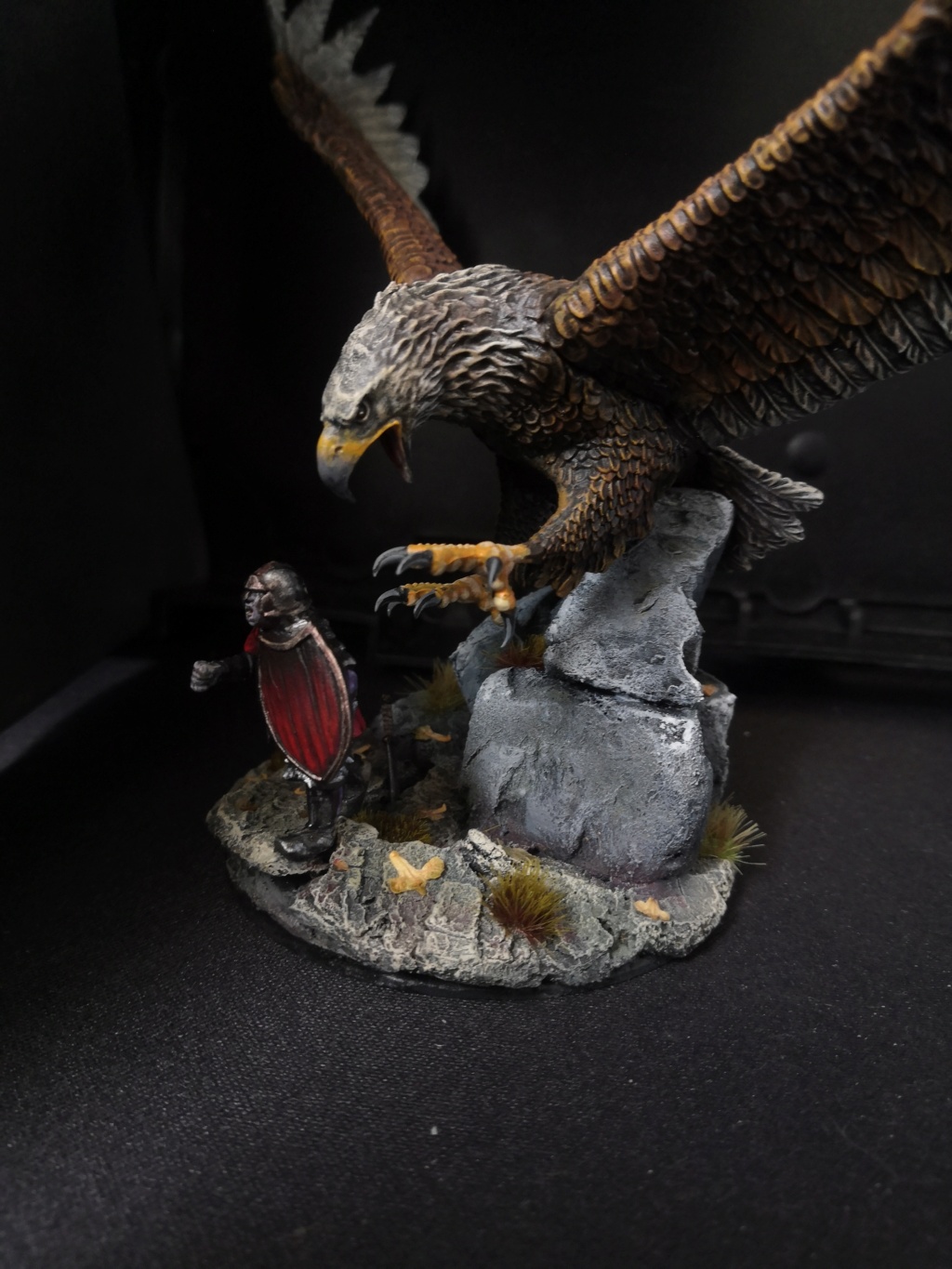 Gwaihir (fait maison) et un aigle des Monts Brumeux Img_2312