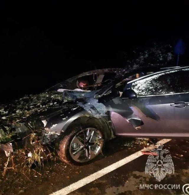  Жуткая авария произошла в Уренском районе — автомобиль столкнулся с лосем.  Photo356