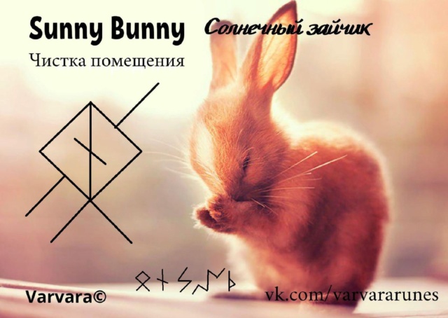 Sunny Bunny. Солнечный зайчик. Автор Varvara Ffp93110