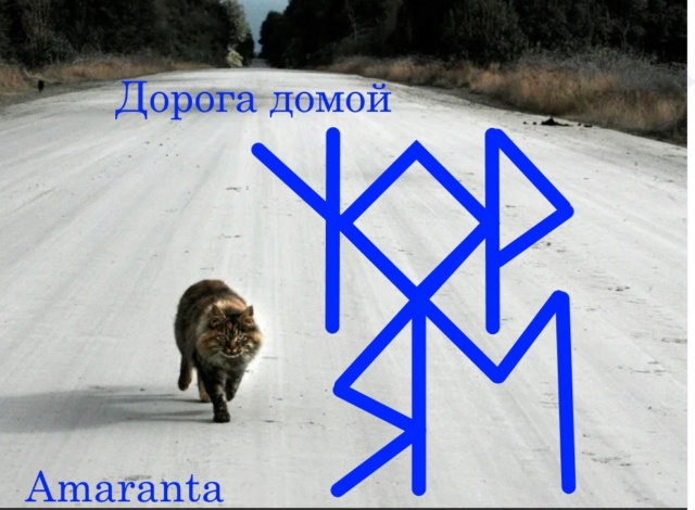 Дорога домой автор Amaranta