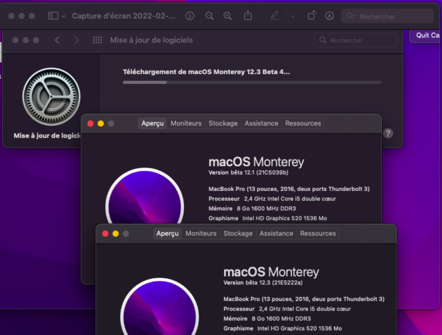 macOS Monterey 12.0 / 12.1 / 12.2 / 12.3 / 12.4 / 12.5  Beta - Page 12 Captur61