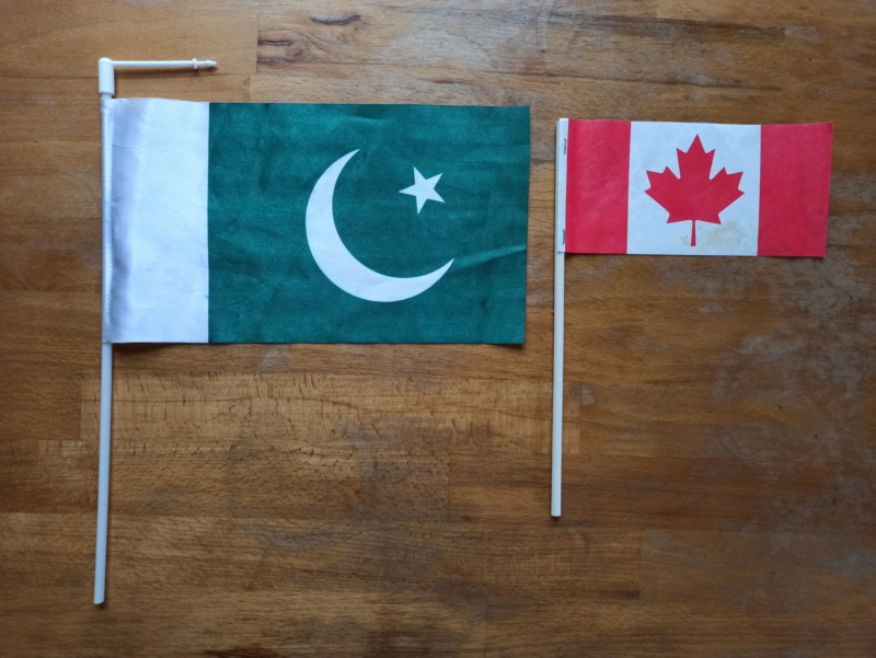 Флаги, флажки разных стран, университетов и другие Img_1341