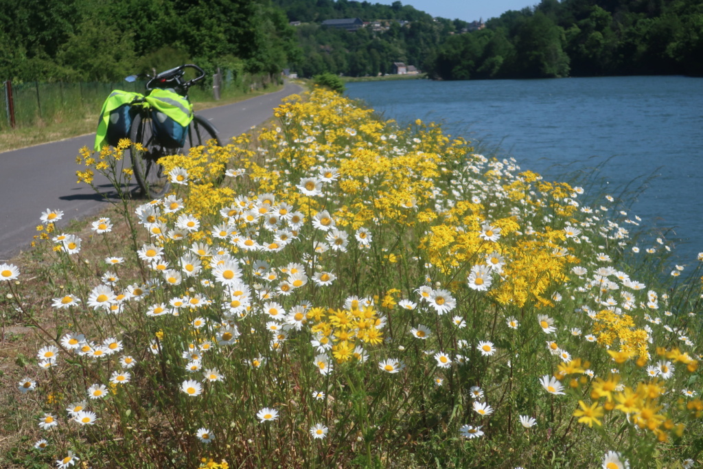        Un petit voyage à vélo dans les Ardennes et autres départements du Grand Est Img_3618