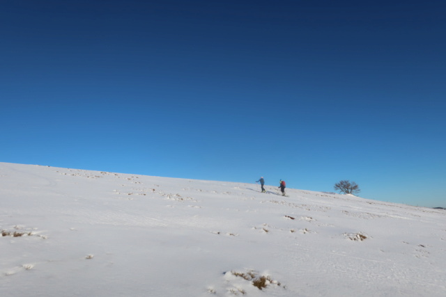 Sur les crêtes autour du Hohneck Img_7317