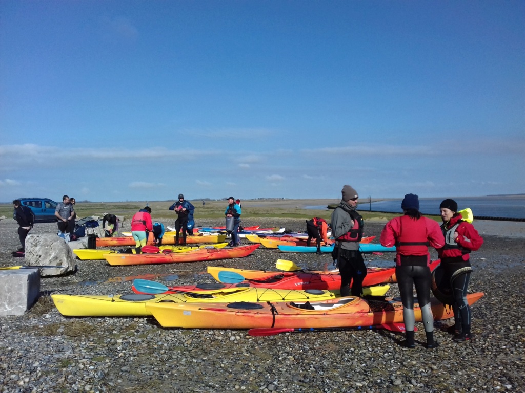 Sortie baie de Somme le 9 avril !  - Page 2 20150515