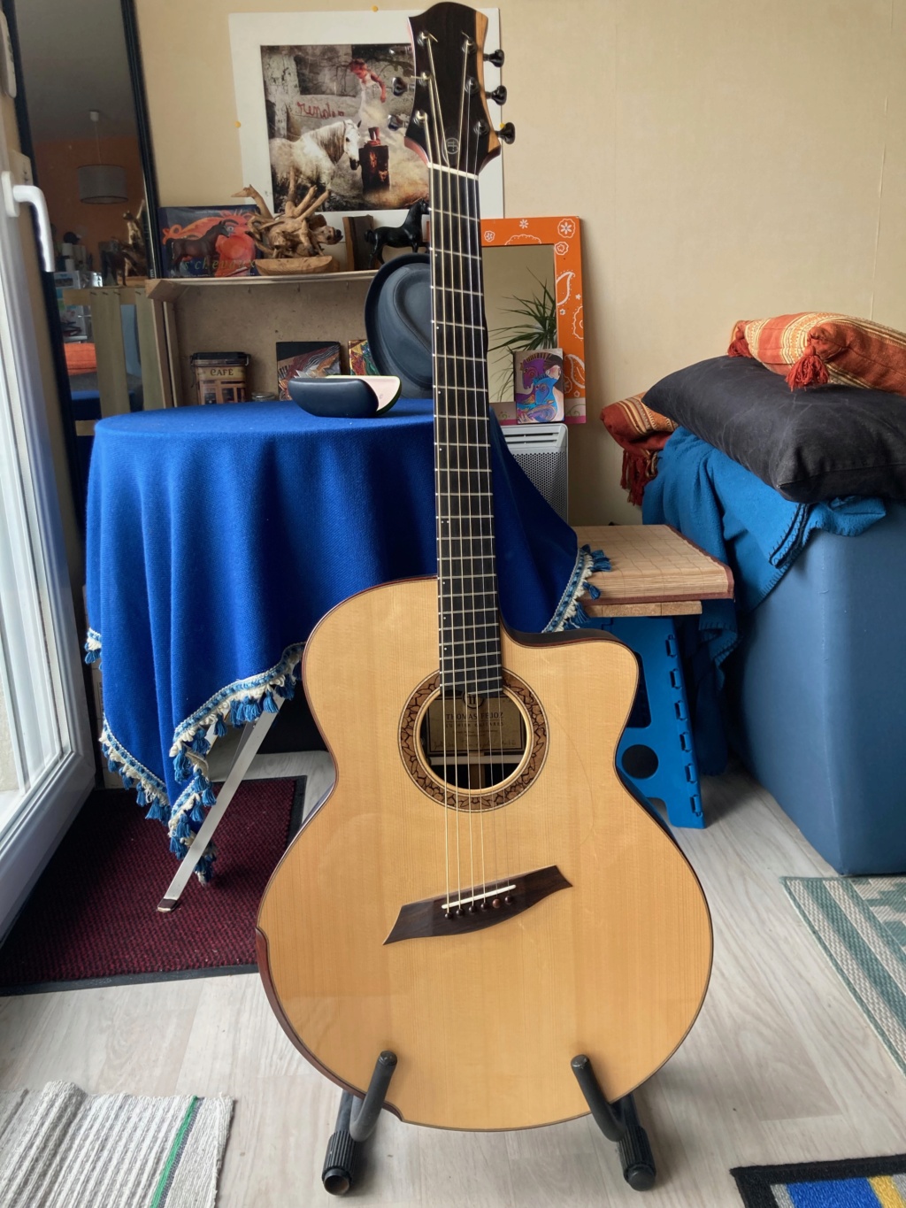 Vends Guitare d'exception Jumbo Fanned Fret Thomas Fejoz Img_2310