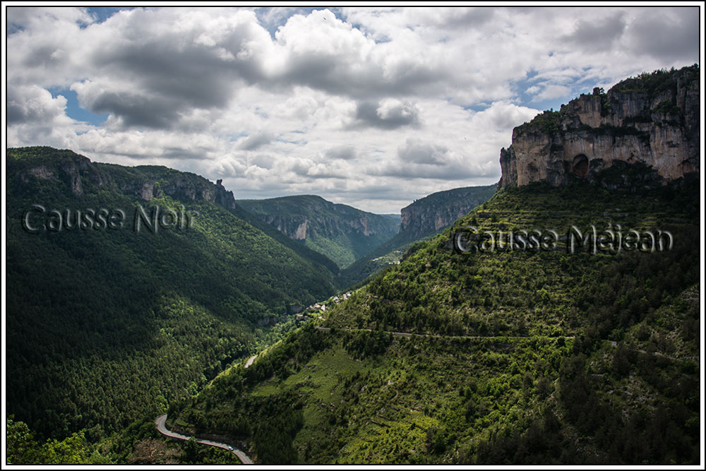 Causse noir - Gymnadenia odoratissima - 18 juin 2018 18061810