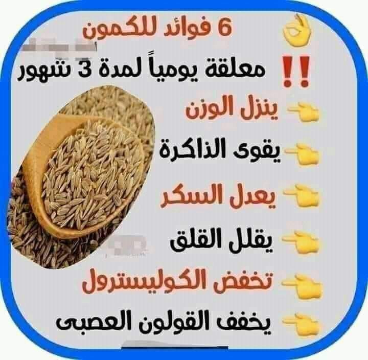 الكمـــــــــــــون 7_n_aa13