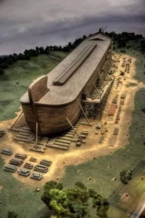 سفينة نوح معجزة إلهية بكل المقاييس 9_n109