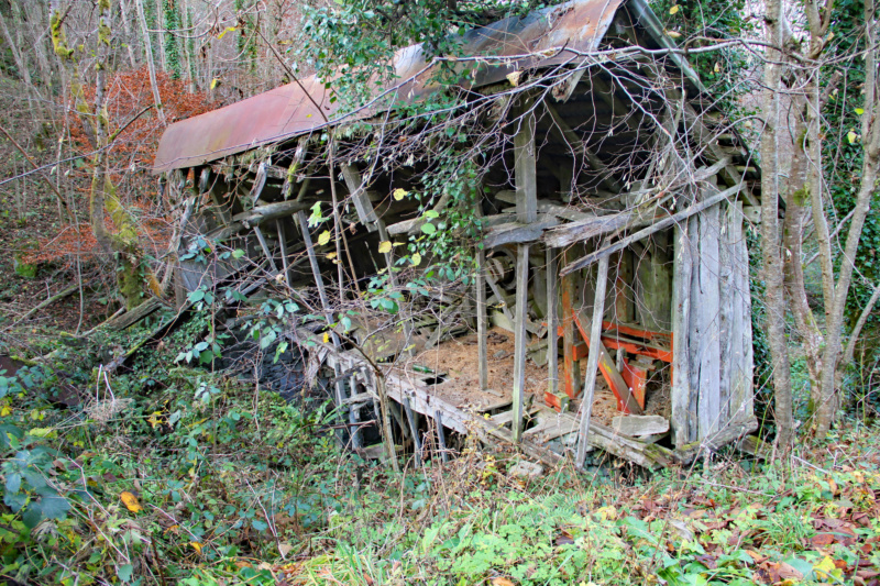 Le vieux moulin Img_1916