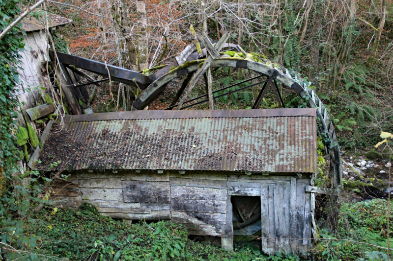 Le vieux moulin Img_1919