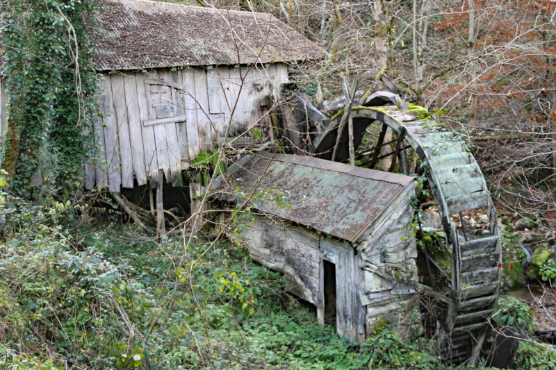 Le vieux moulin Img_1920