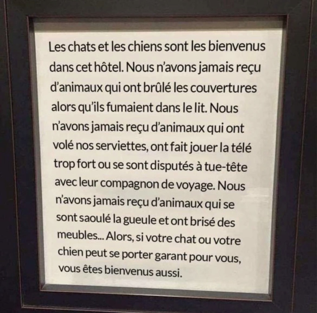 Savez-vous où je peux flooder pour atteindre 4000 messages ? - Page 28 36610110