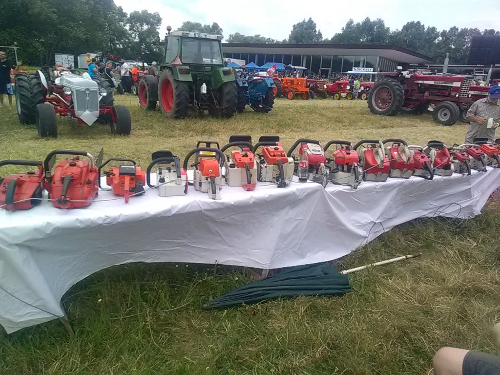 [ 67 ] le 8 eme rassemblement de  tracteur a Sélestat  Img_2264