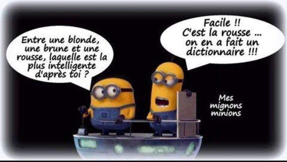Humour divers - Page 2 1511