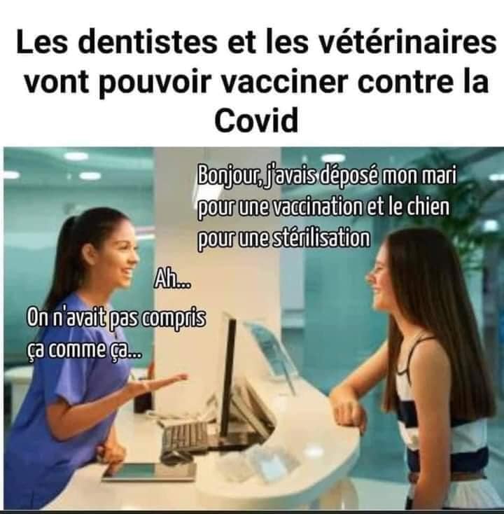Humour divers - Page 36 16620410