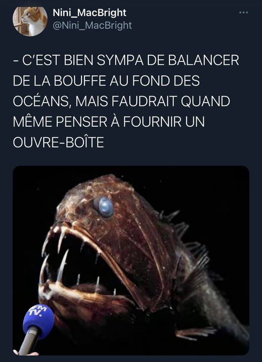 Humour divers - Page 38 2214