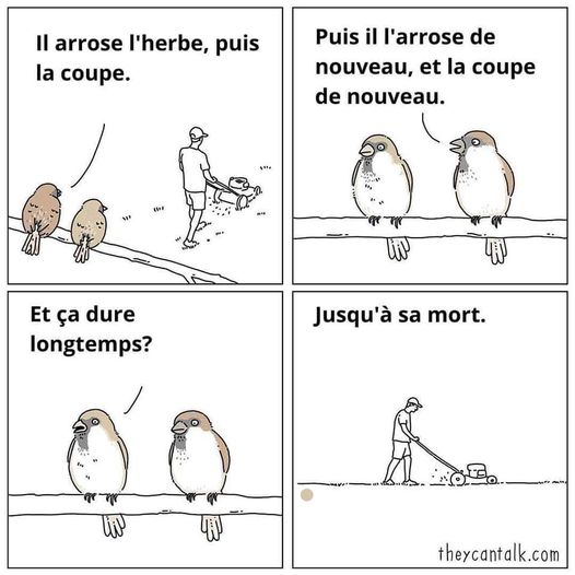 Humour divers - Page 4 268