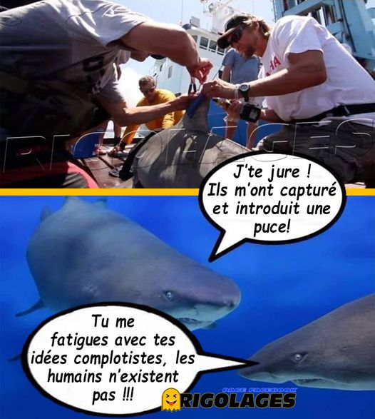 Humour divers - Page 35 333