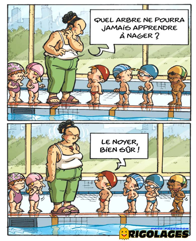 Humour divers - Page 13 60612010
