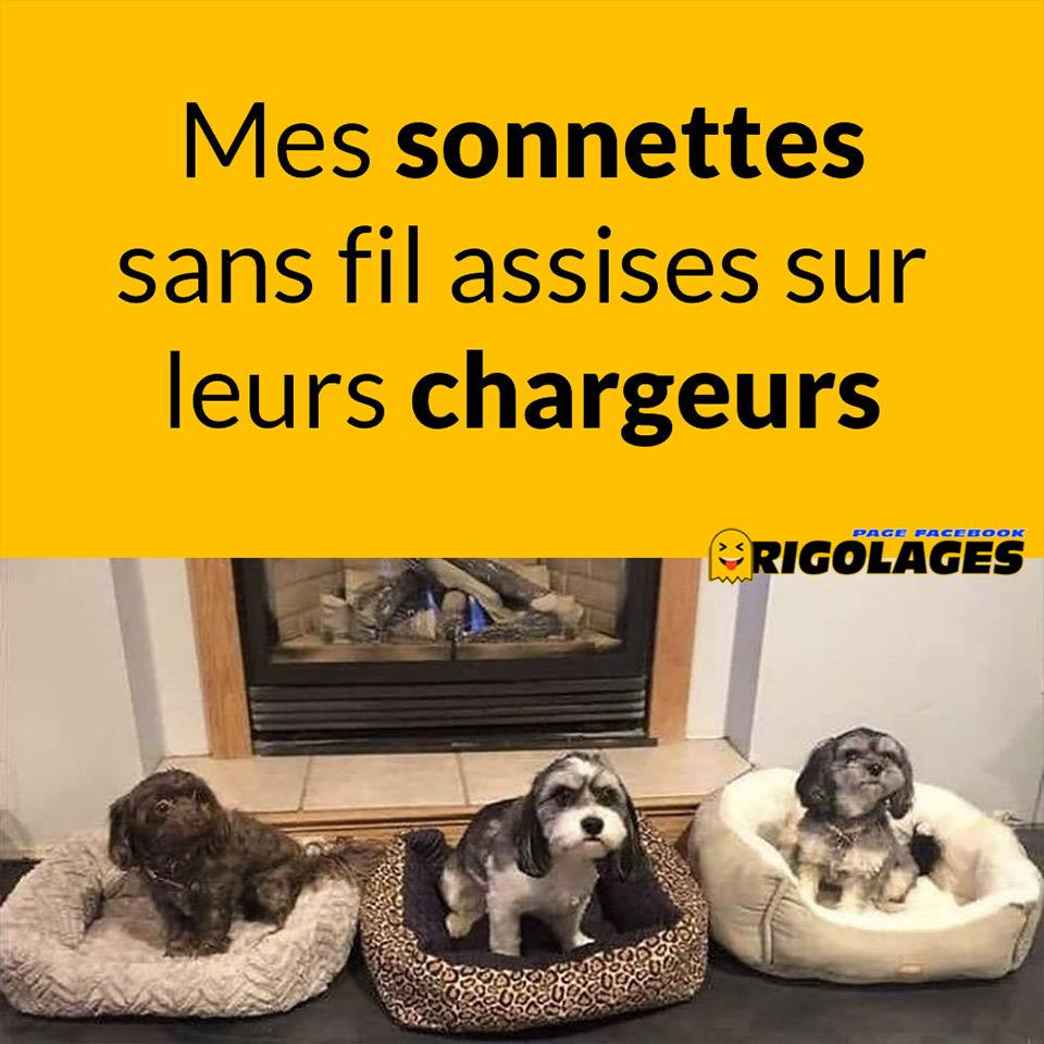 Humour divers - Page 29 67776410