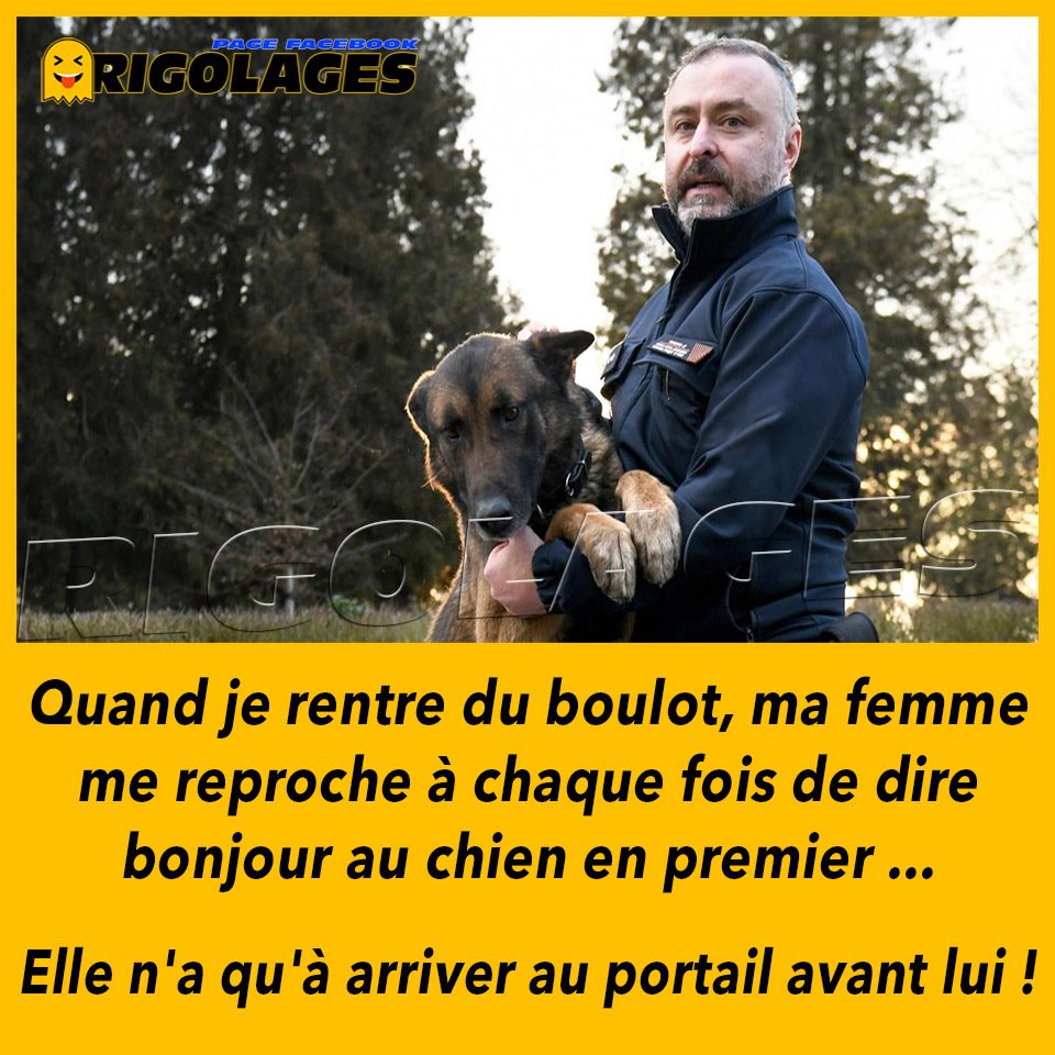 Humour divers - Page 29 69134110