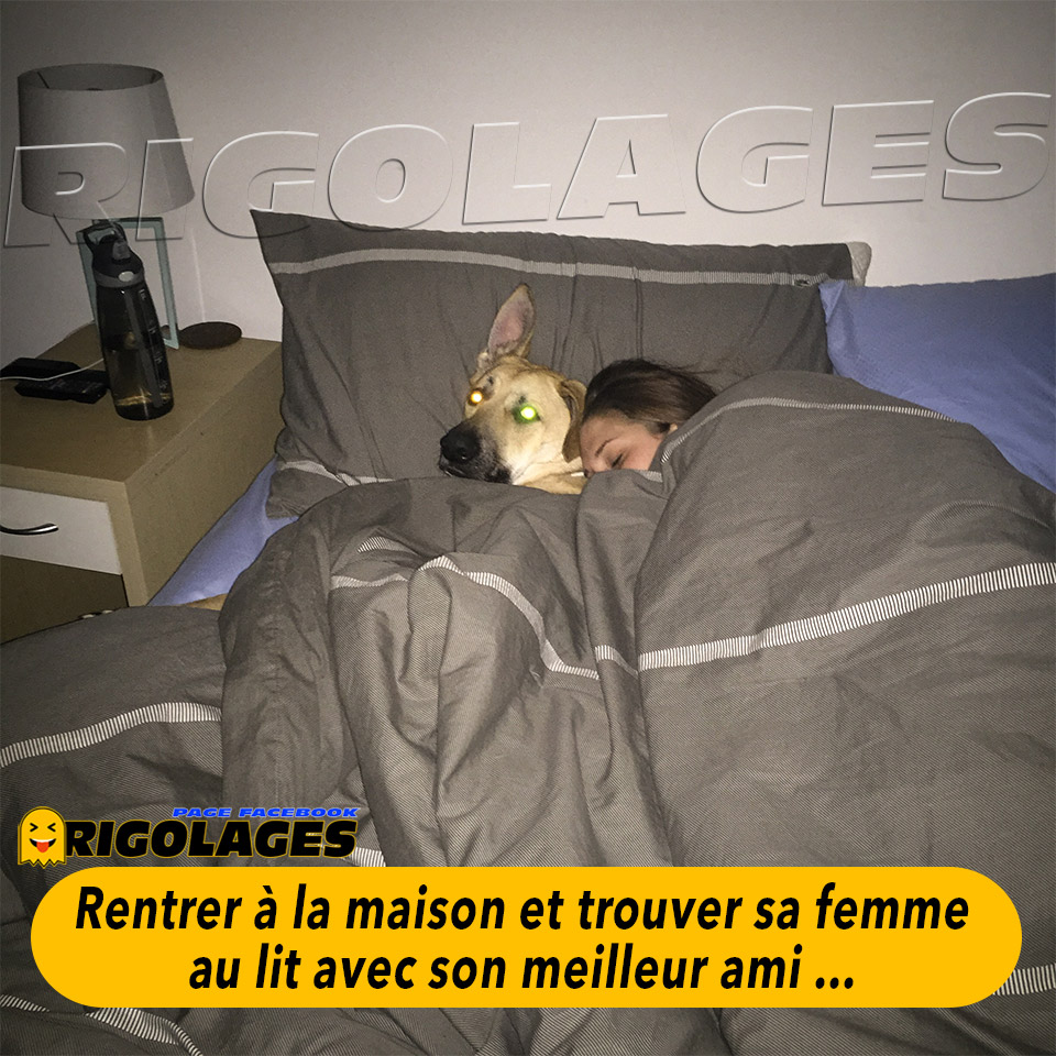 Humour divers - Page 28 86935810