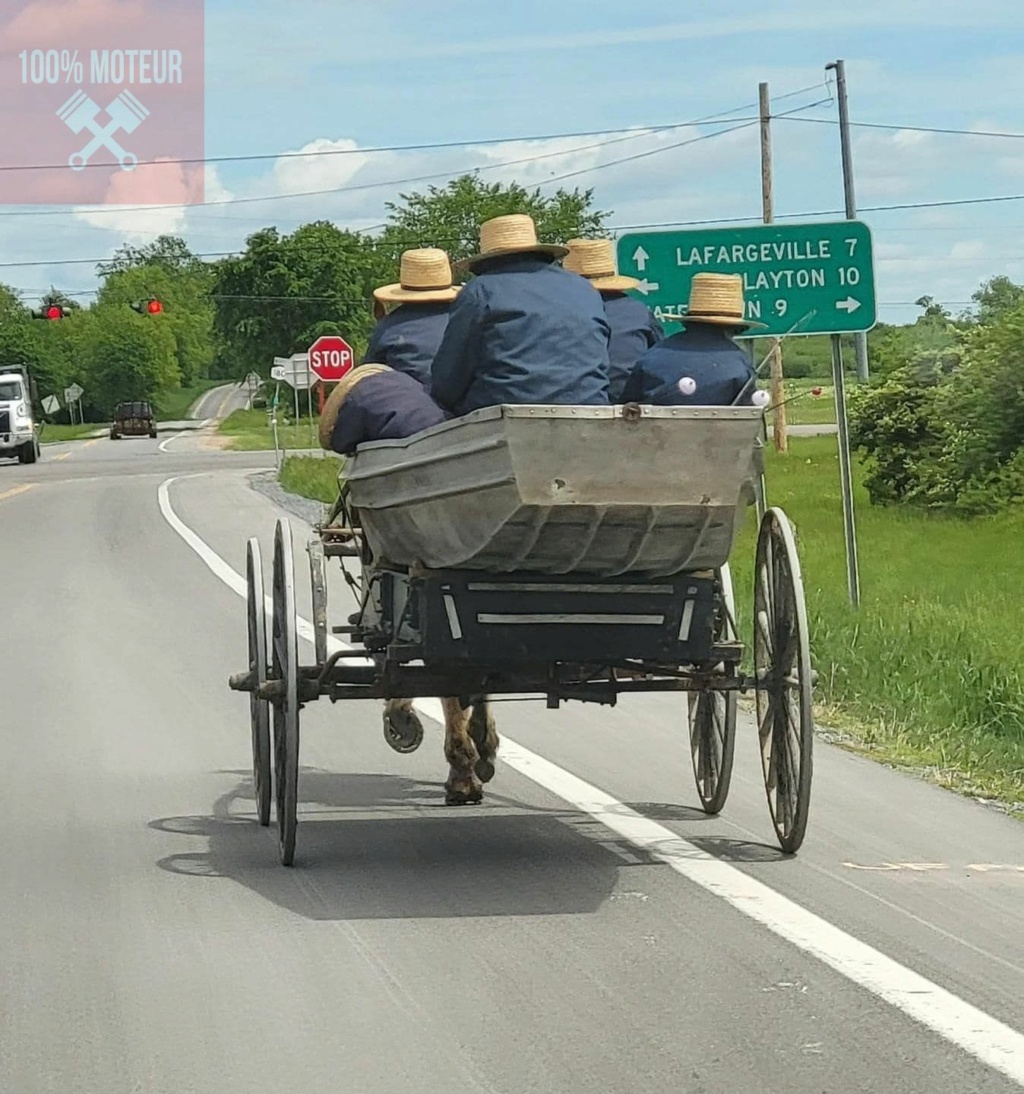Photos distrayantes - Page 30 Amish10