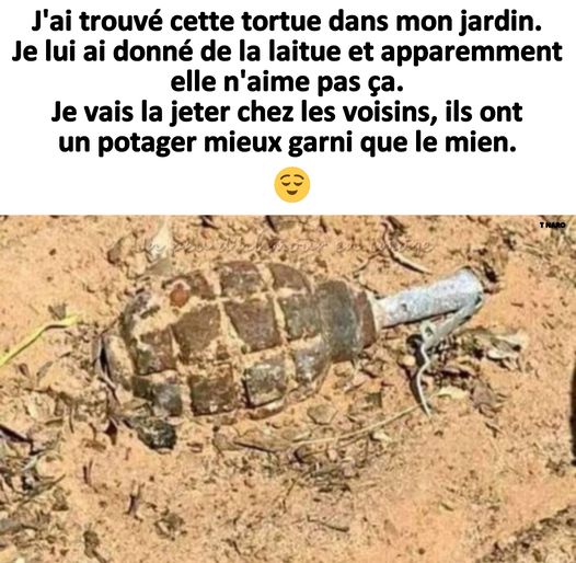 humour militaire - Page 2 Armee71