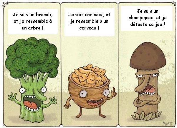 Humour divers - Page 4 Blague13