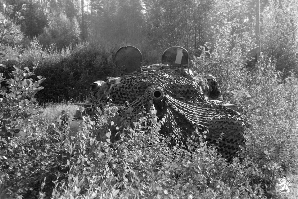 Camouflage reussi ? - Page 6 Camo_c10
