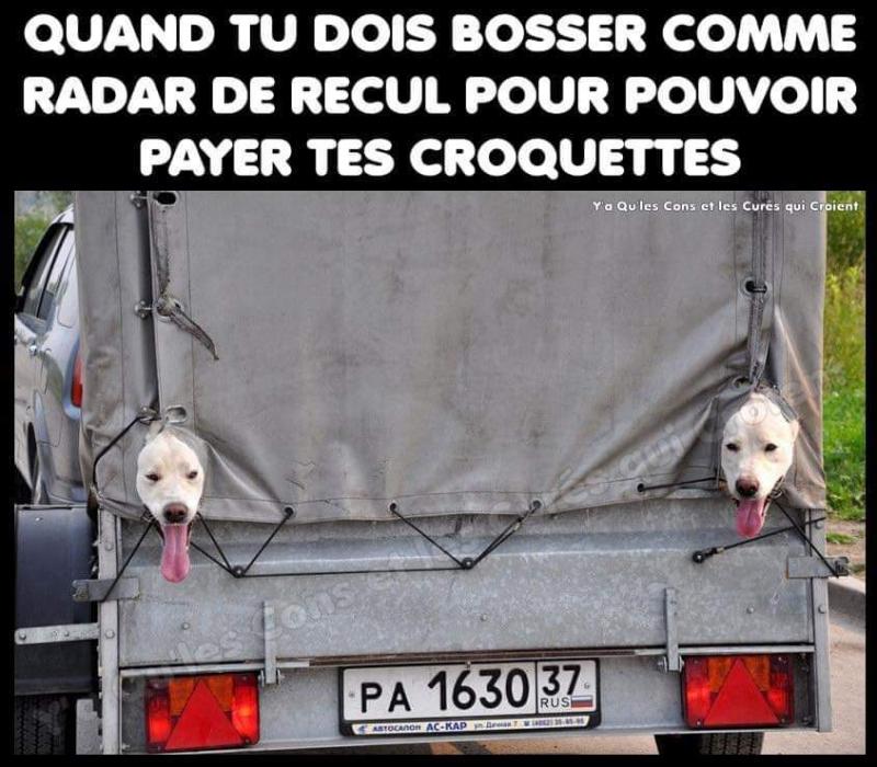 Humour divers - Page 31 N12