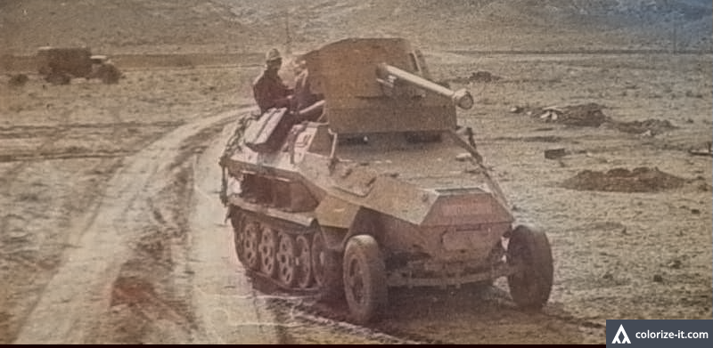 Canon fixe sur chassis de char Sdkfz_11